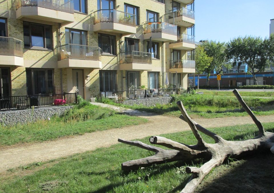 Katwijk Oeverpolder